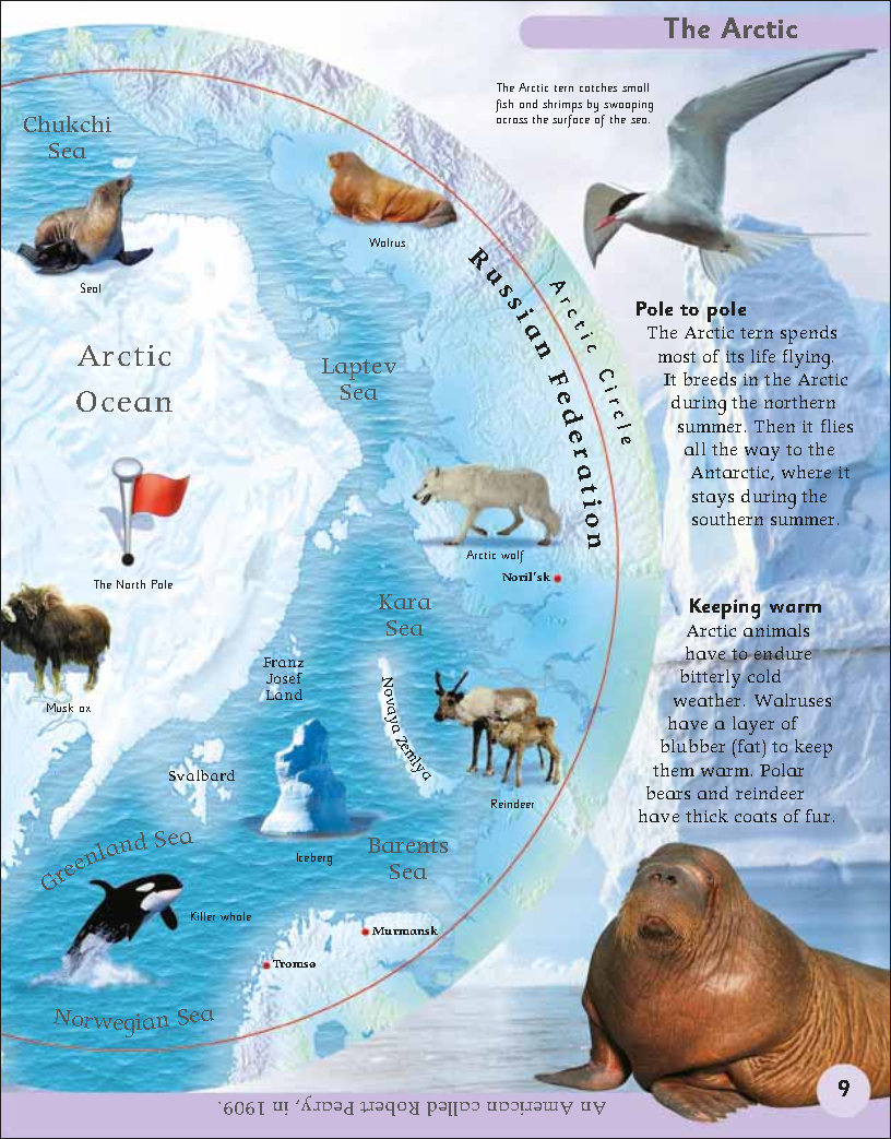 First Childrens Encyclopedia