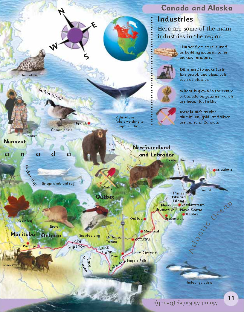 First Childrens Encyclopedia