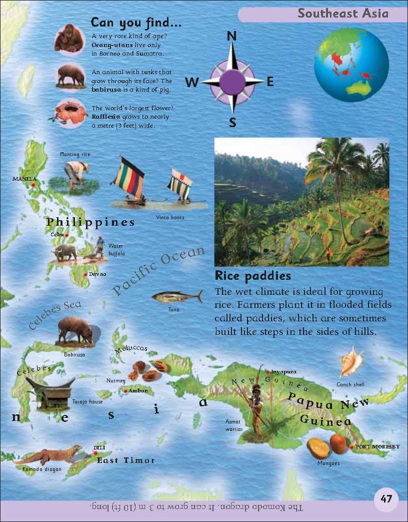 First Childrens Encyclopedia