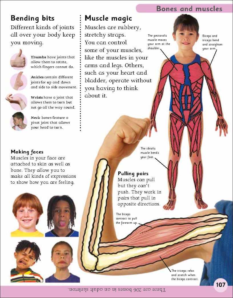 First Childrens Encyclopedia