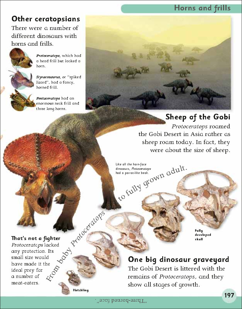 First Childrens Encyclopedia