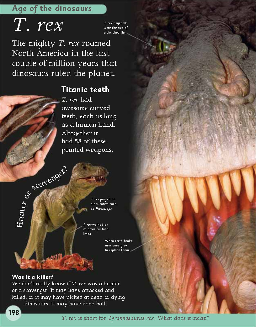 First Childrens Encyclopedia