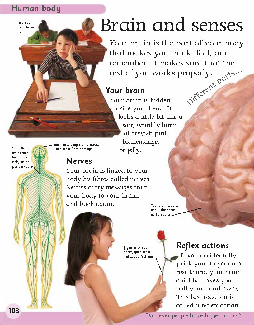 First Childrens Encyclopedia
