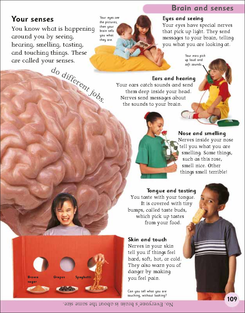 First Childrens Encyclopedia