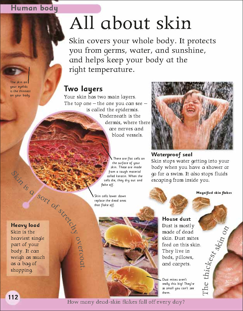 First Childrens Encyclopedia
