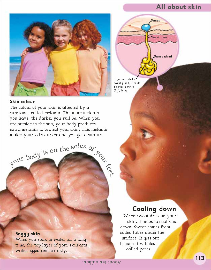 First Childrens Encyclopedia