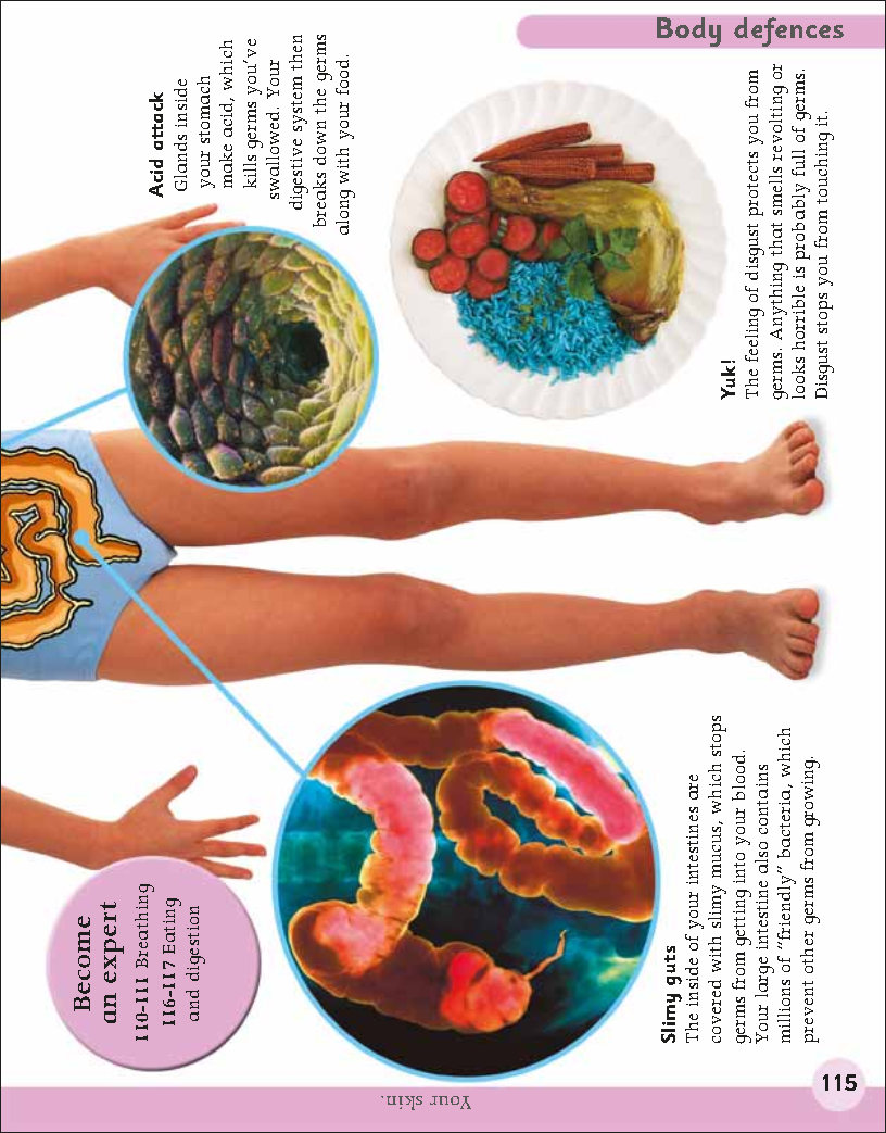 First Childrens Encyclopedia