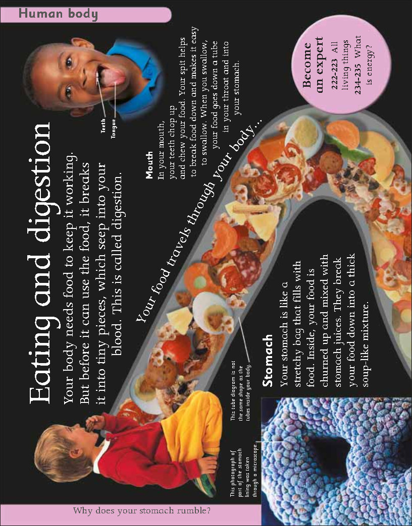 First Childrens Encyclopedia