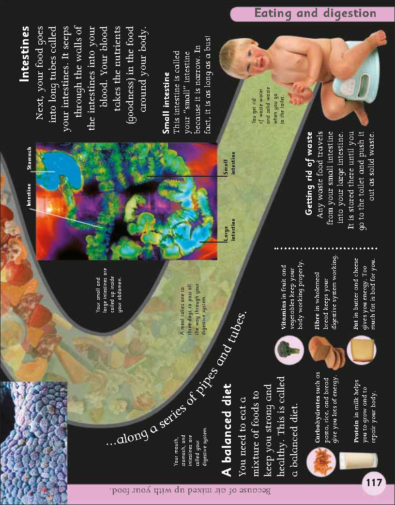 First Childrens Encyclopedia