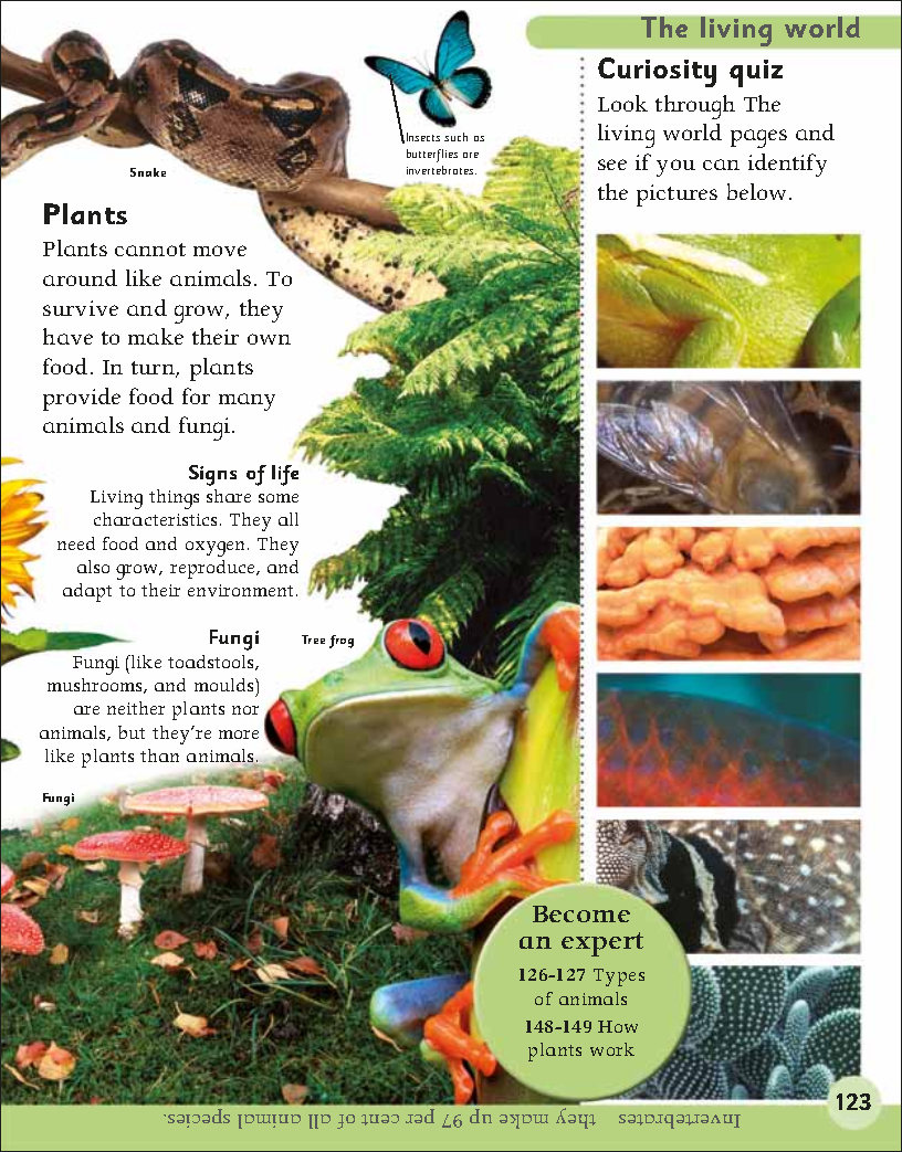 First Childrens Encyclopedia