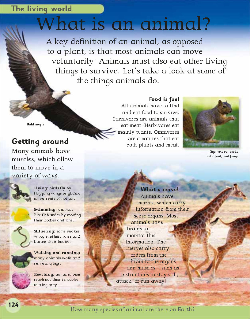 First Childrens Encyclopedia
