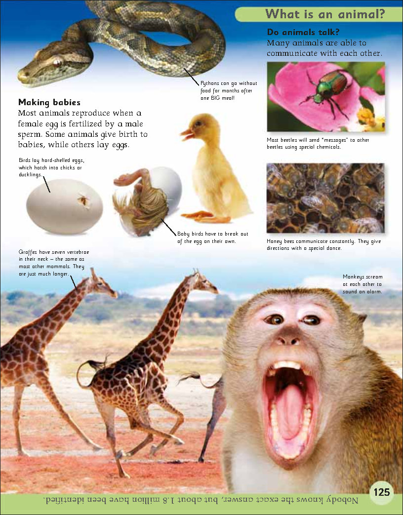 First Childrens Encyclopedia
