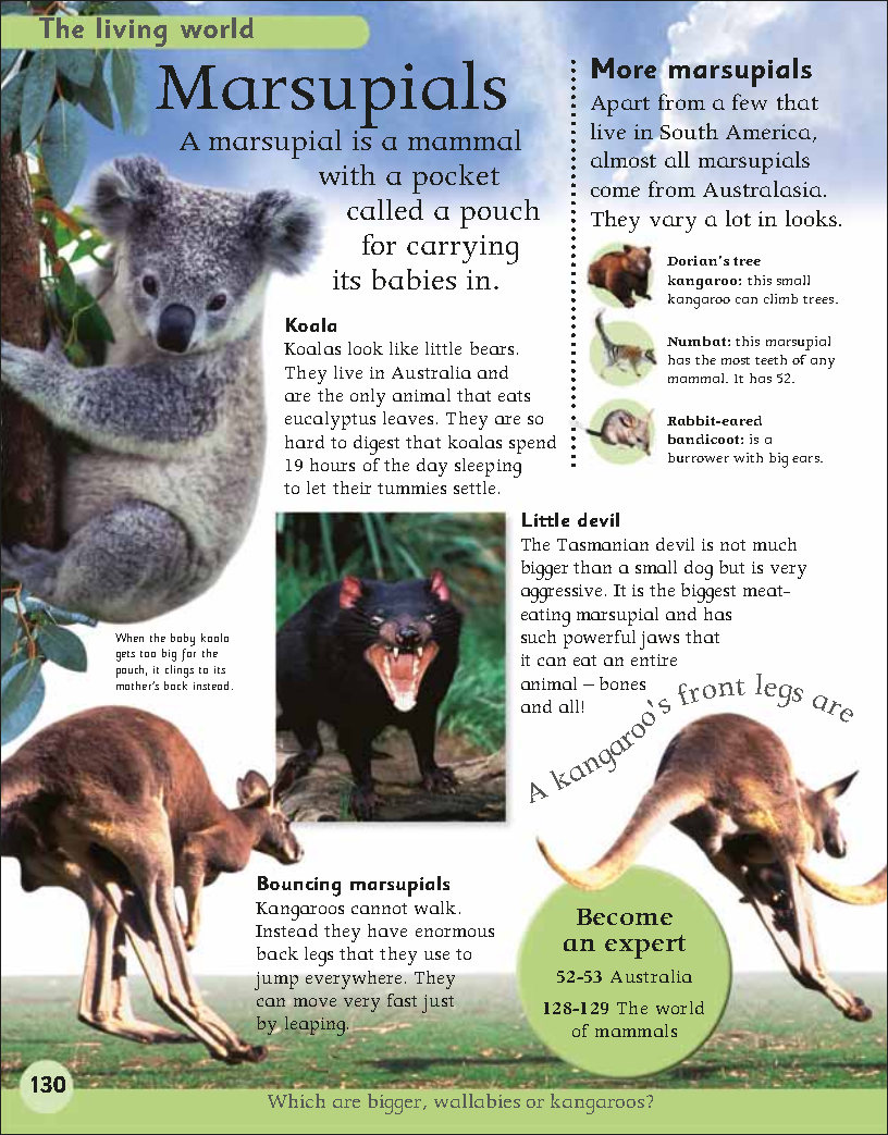 First Childrens Encyclopedia
