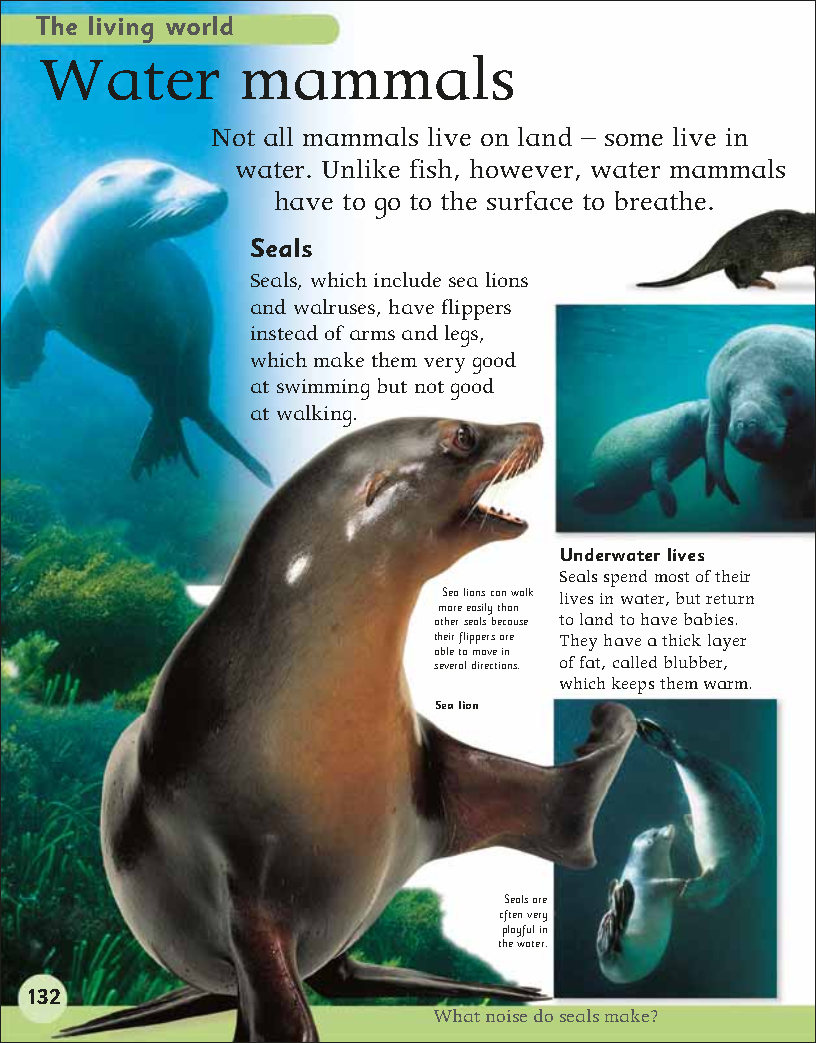 First Childrens Encyclopedia