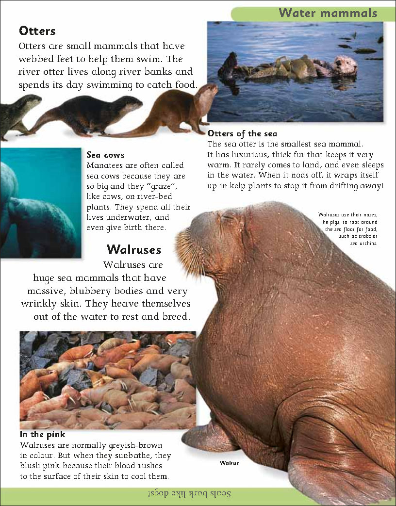 First Childrens Encyclopedia