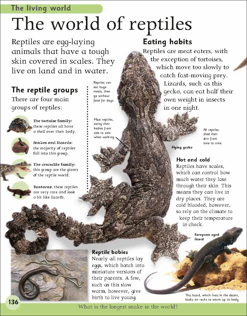 First Childrens Encyclopedia