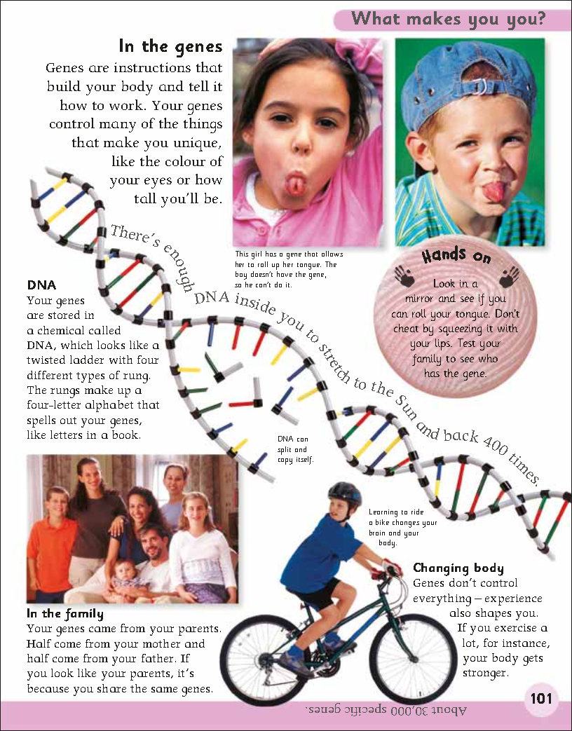 First Childrens Encyclopedia