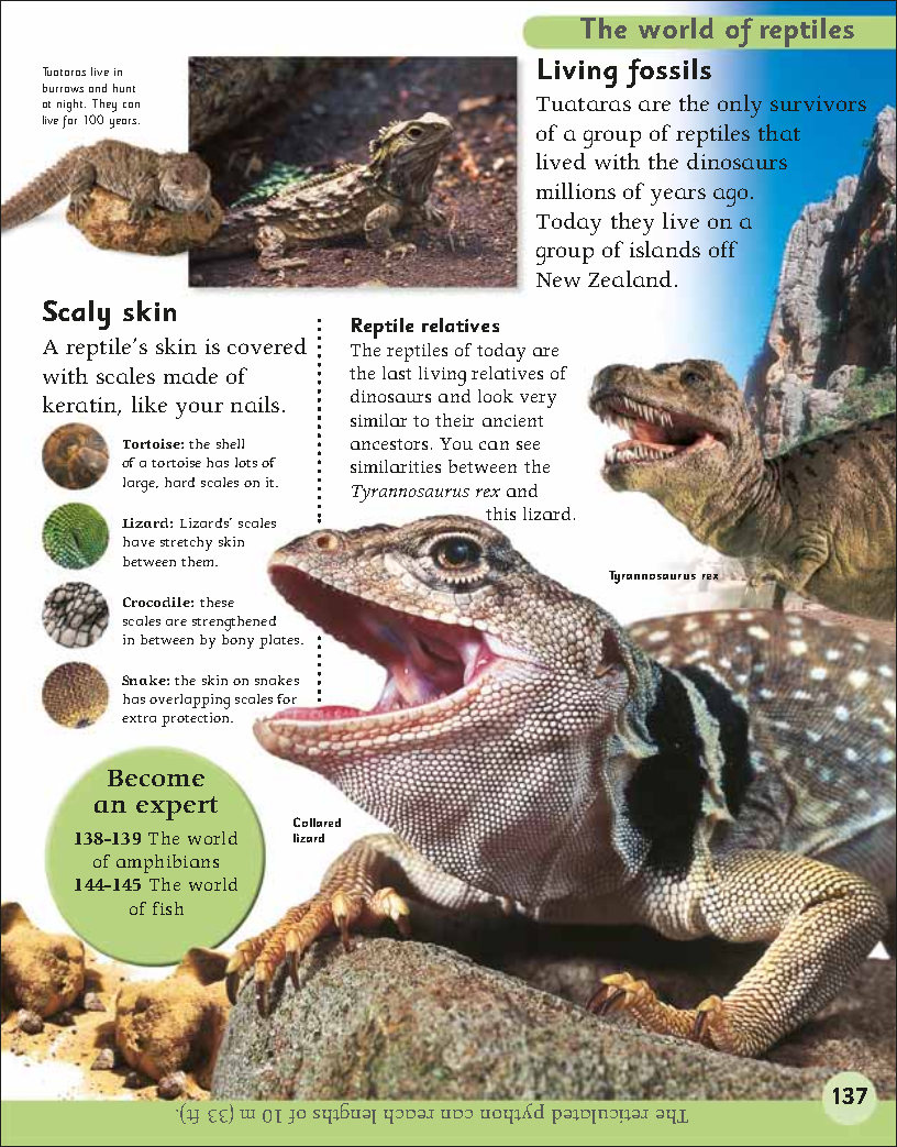 First Childrens Encyclopedia