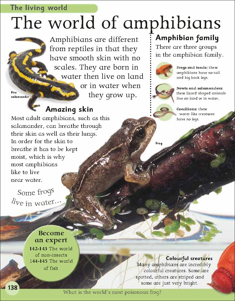 First Childrens Encyclopedia