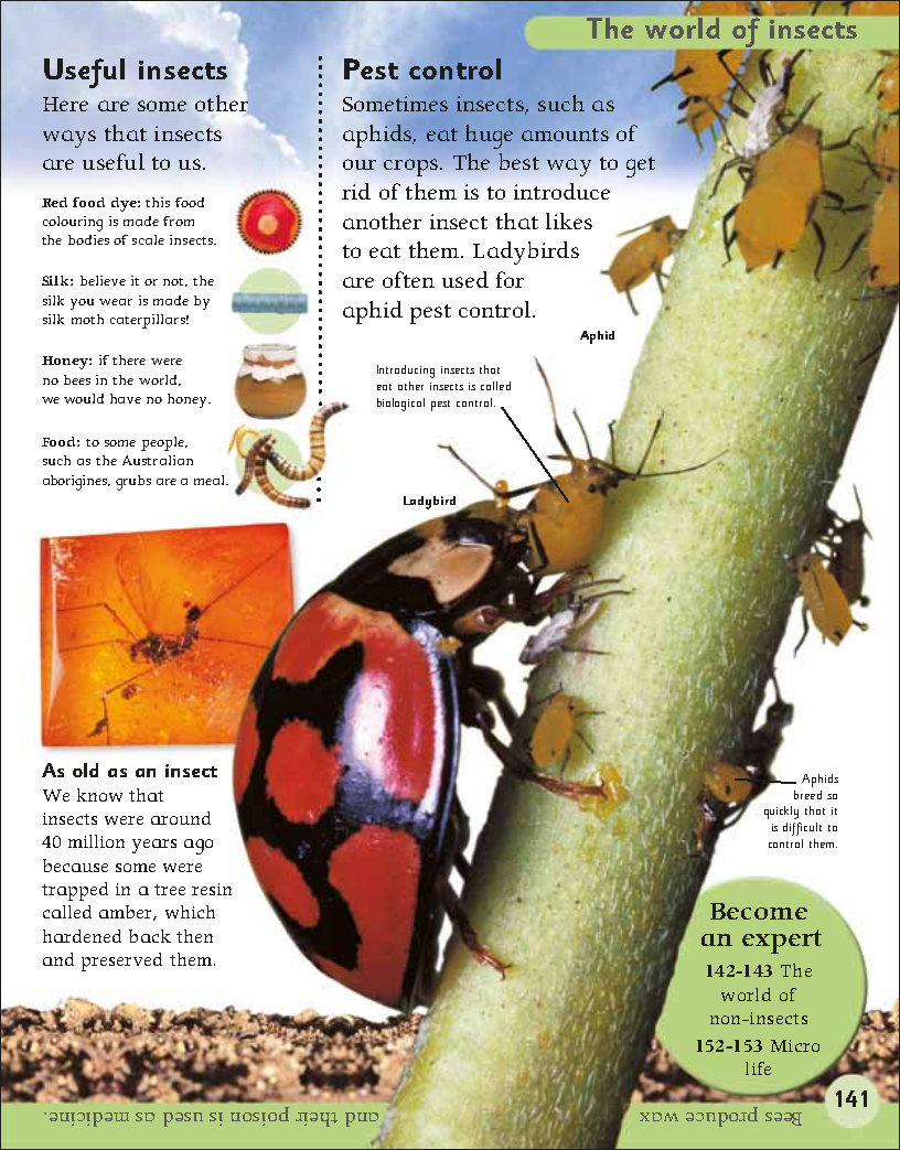 First Childrens Encyclopedia