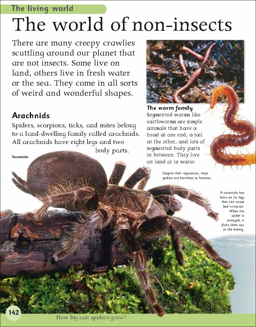 First Childrens Encyclopedia