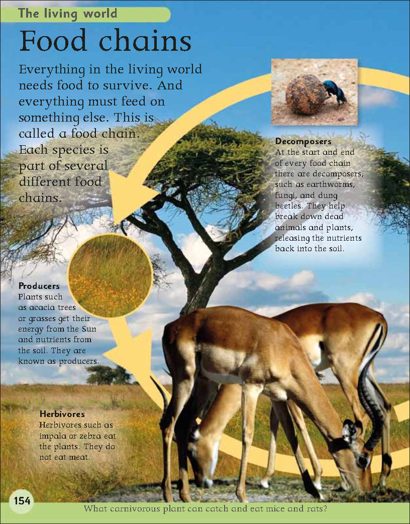 First Childrens Encyclopedia