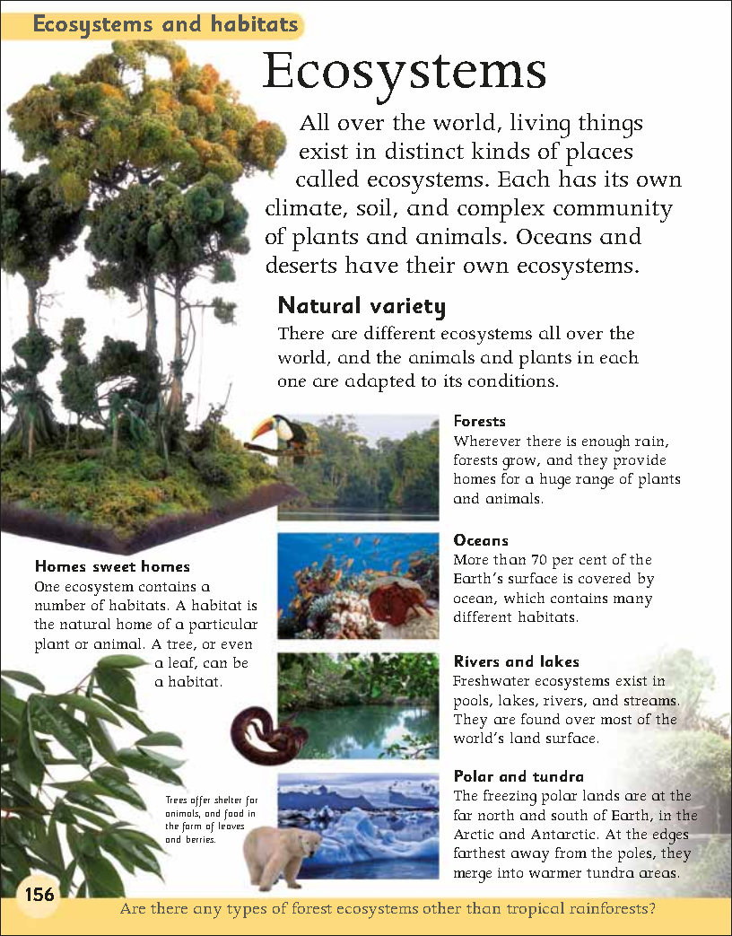 First Childrens Encyclopedia