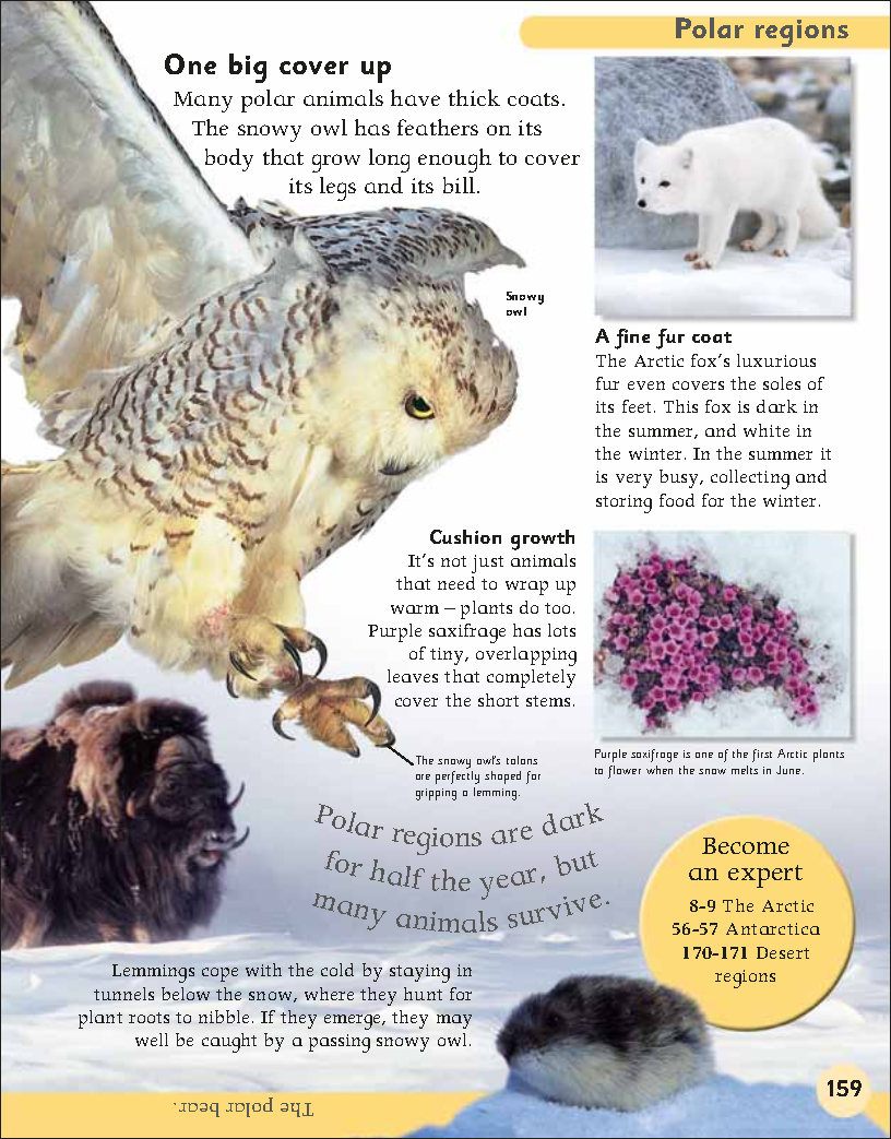 First Childrens Encyclopedia