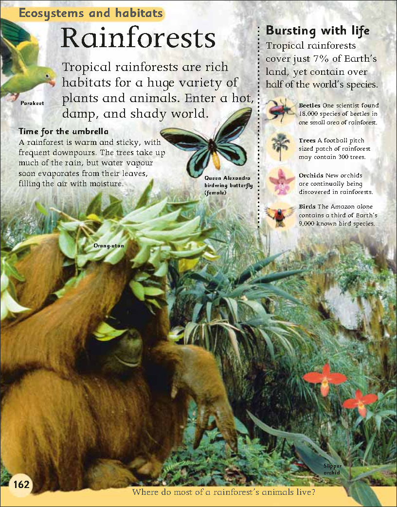 First Childrens Encyclopedia