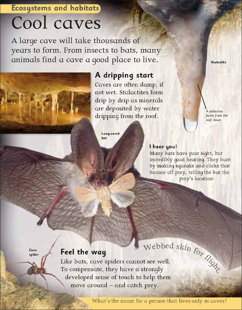 First Childrens Encyclopedia