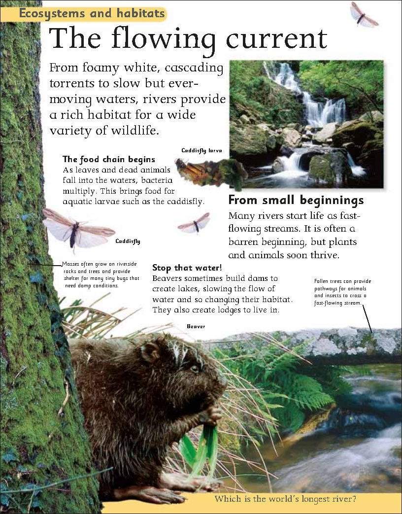First Childrens Encyclopedia