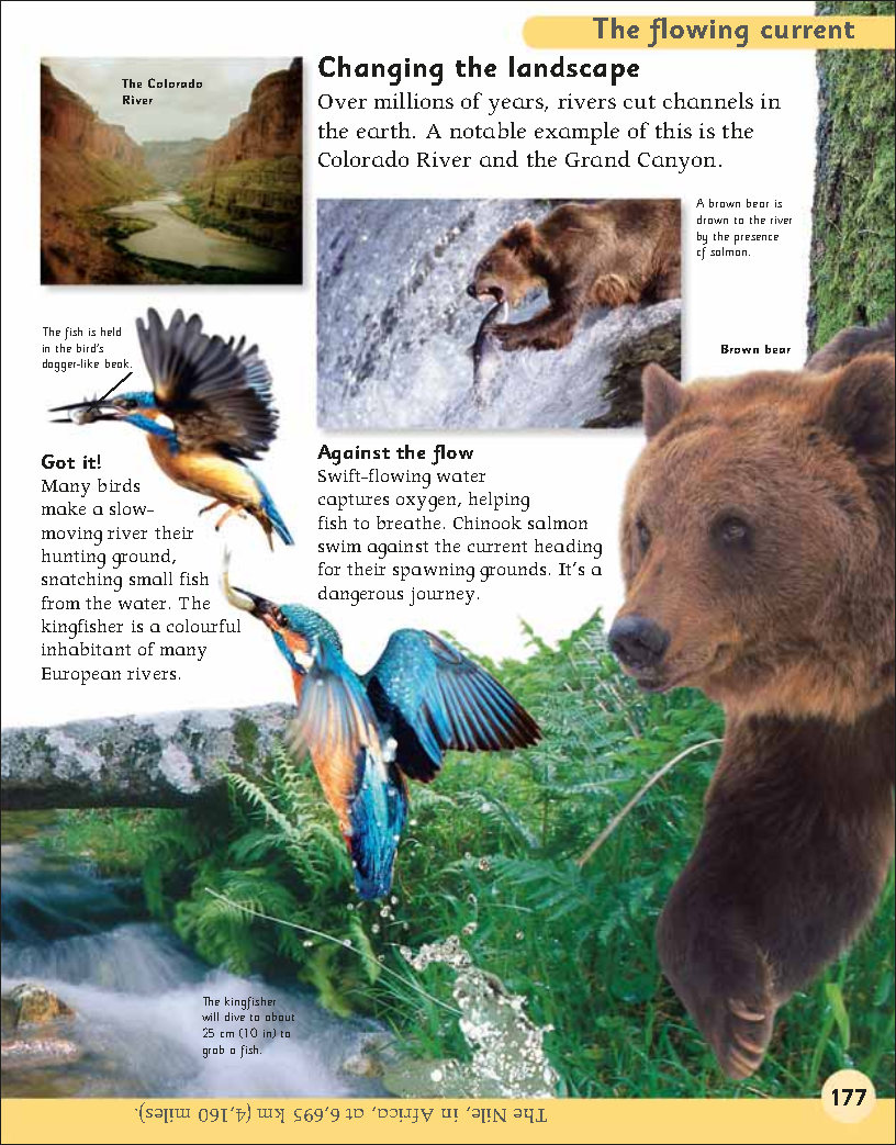 First Childrens Encyclopedia