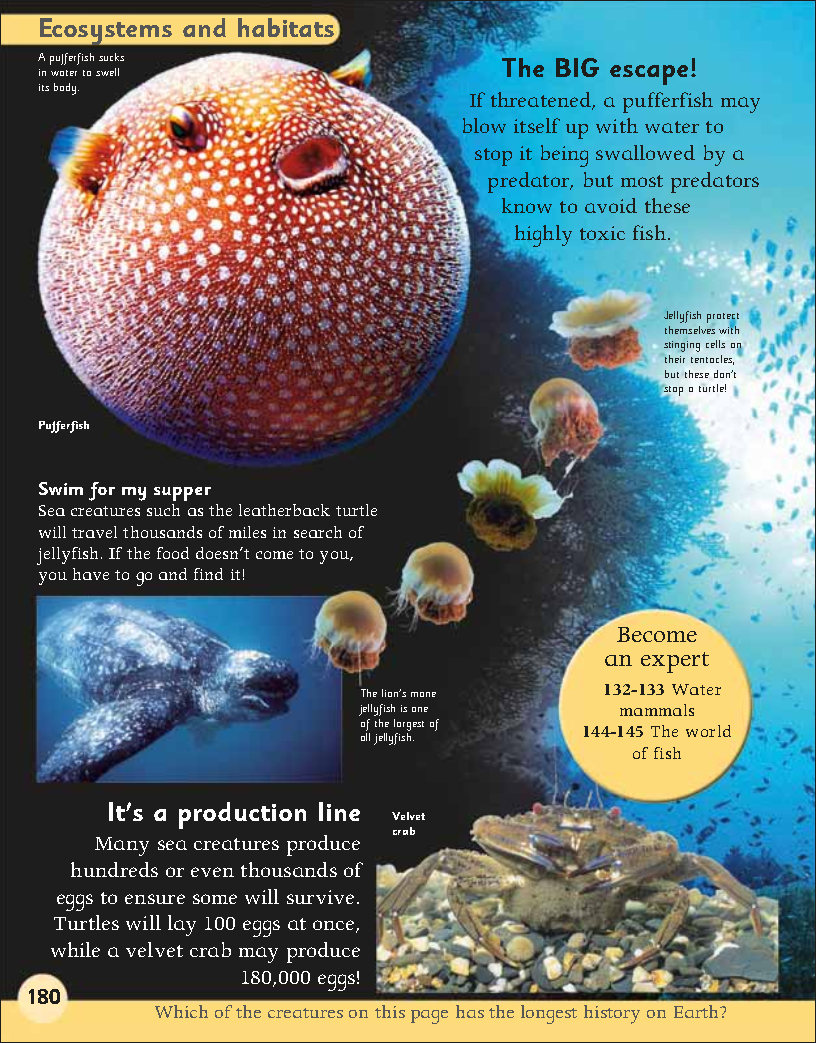 First Childrens Encyclopedia