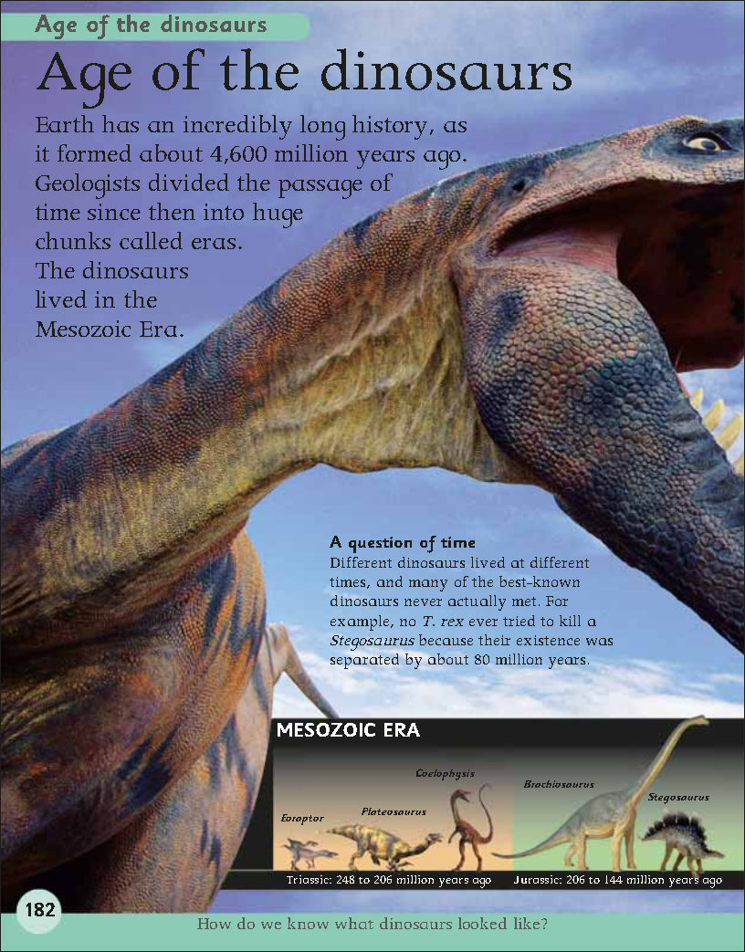 First Childrens Encyclopedia