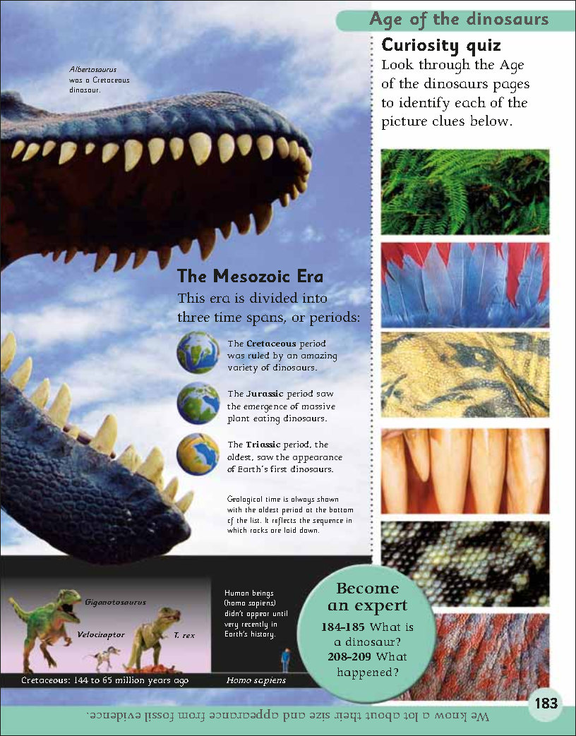 First Childrens Encyclopedia