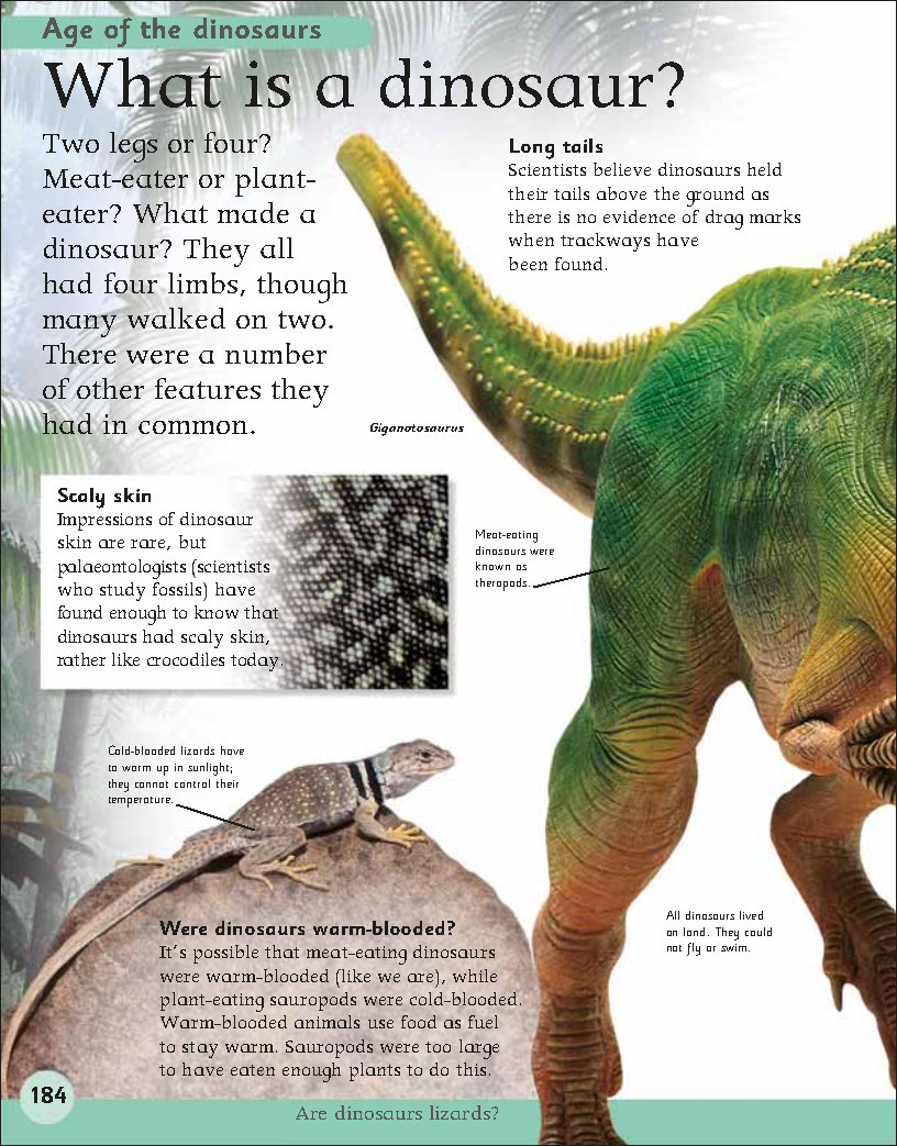 First Childrens Encyclopedia