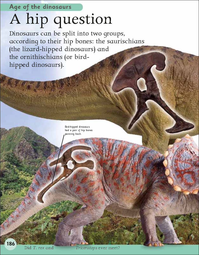 First Childrens Encyclopedia