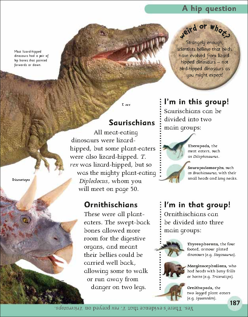 First Childrens Encyclopedia