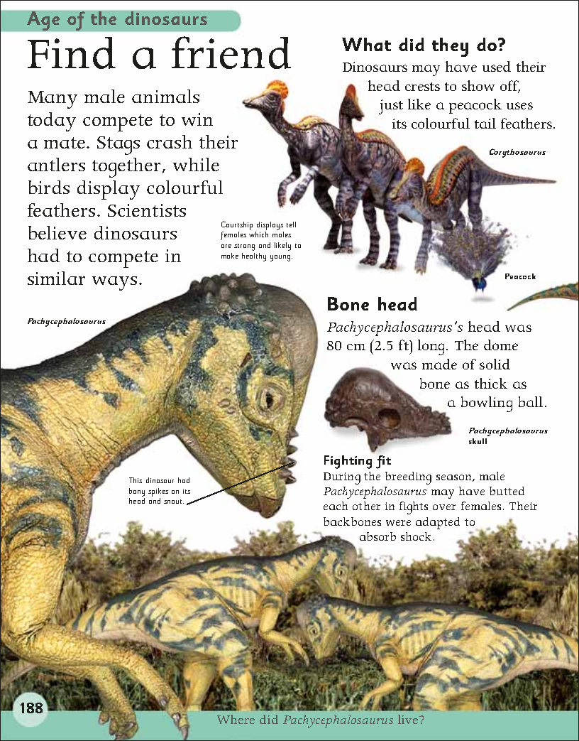 First Childrens Encyclopedia