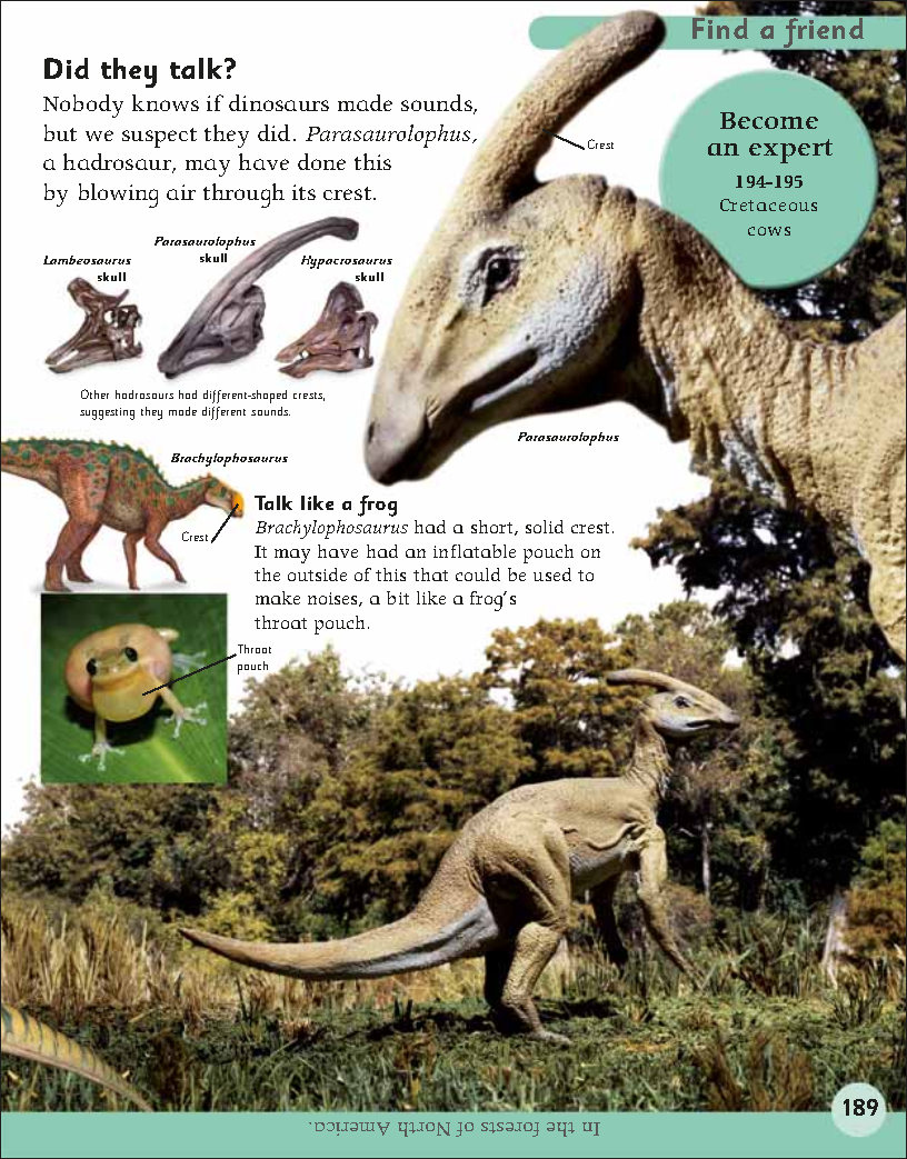 First Childrens Encyclopedia