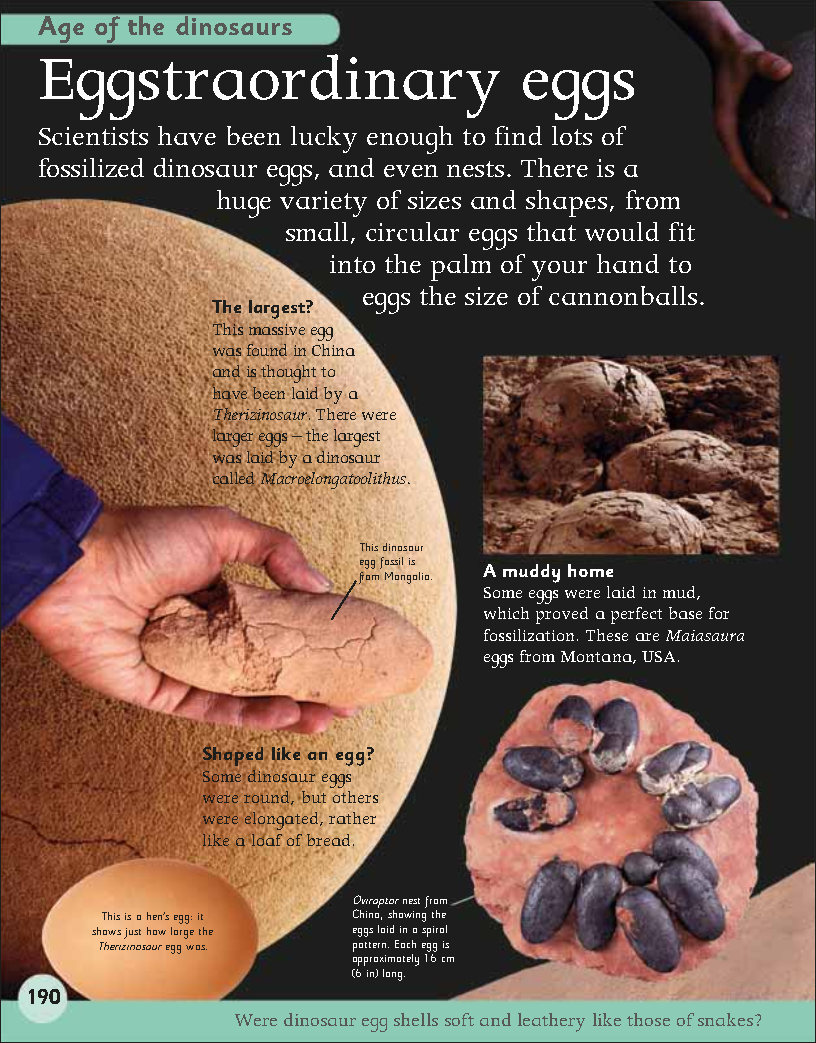 First Childrens Encyclopedia