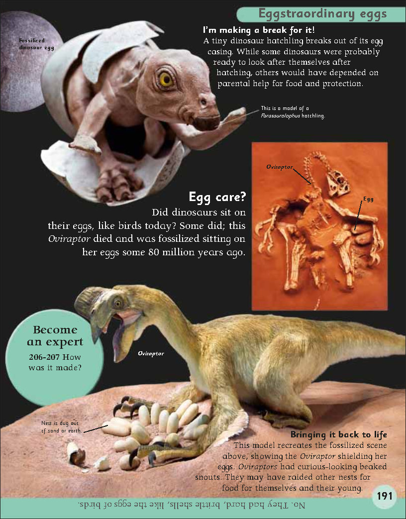First Childrens Encyclopedia
