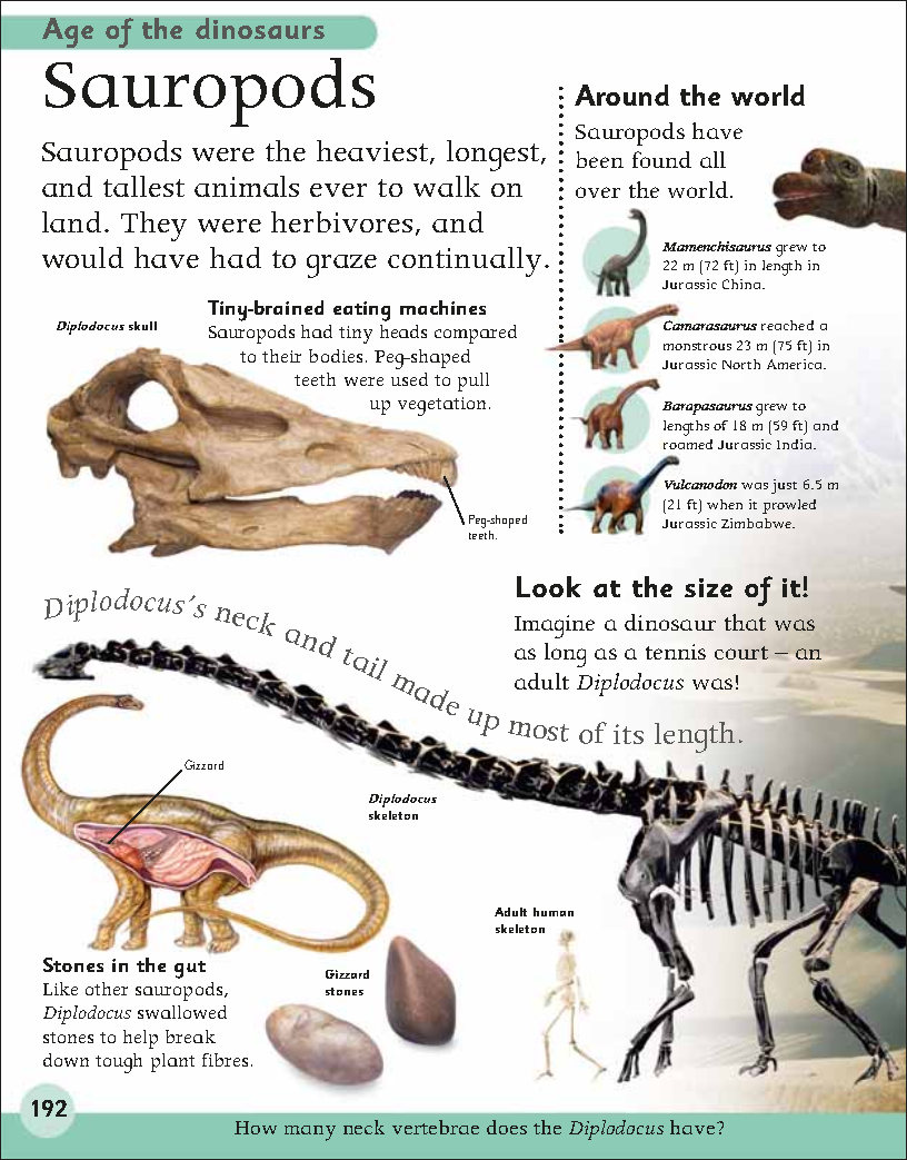 First Childrens Encyclopedia