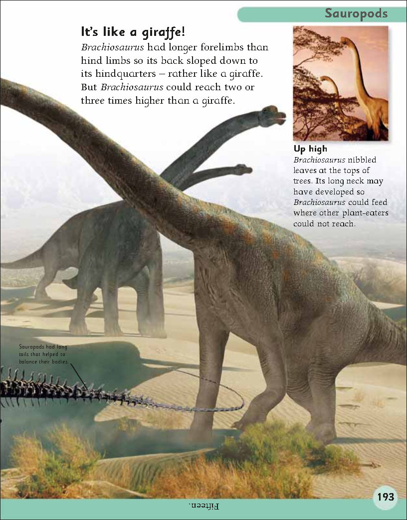 First Childrens Encyclopedia