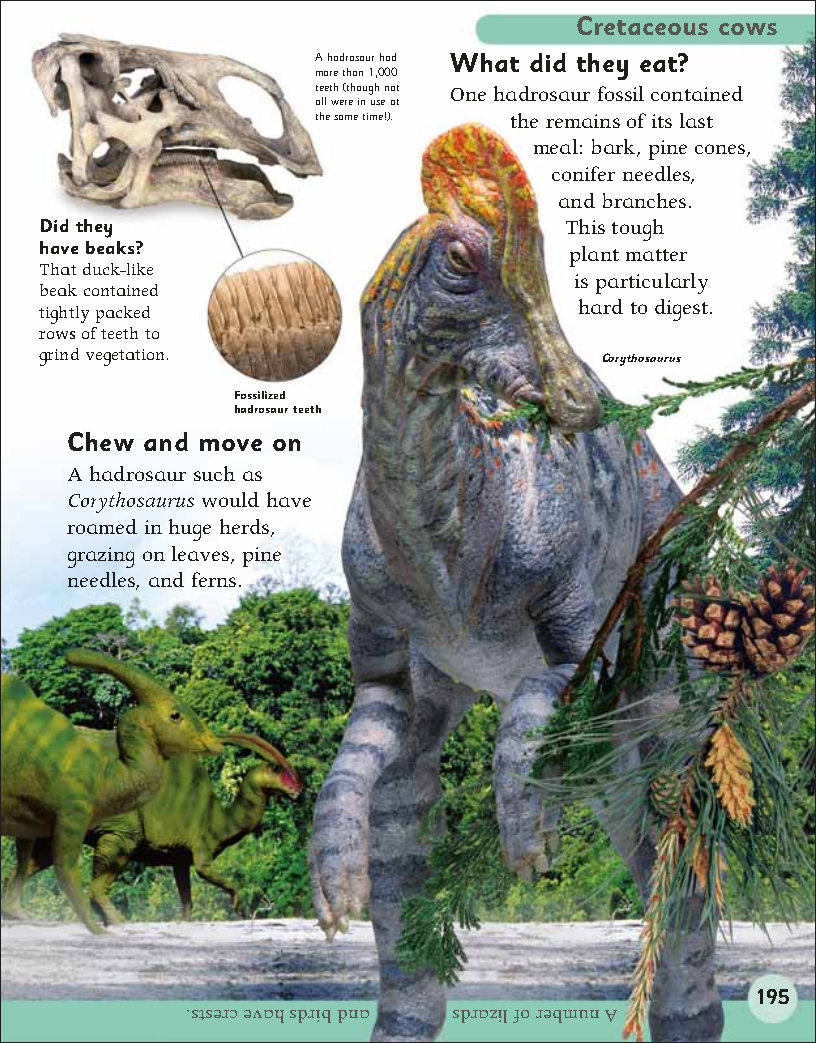 First Childrens Encyclopedia
