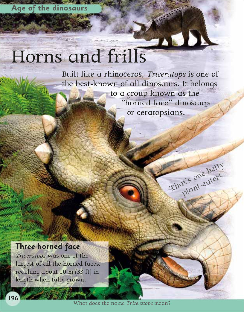 First Childrens Encyclopedia