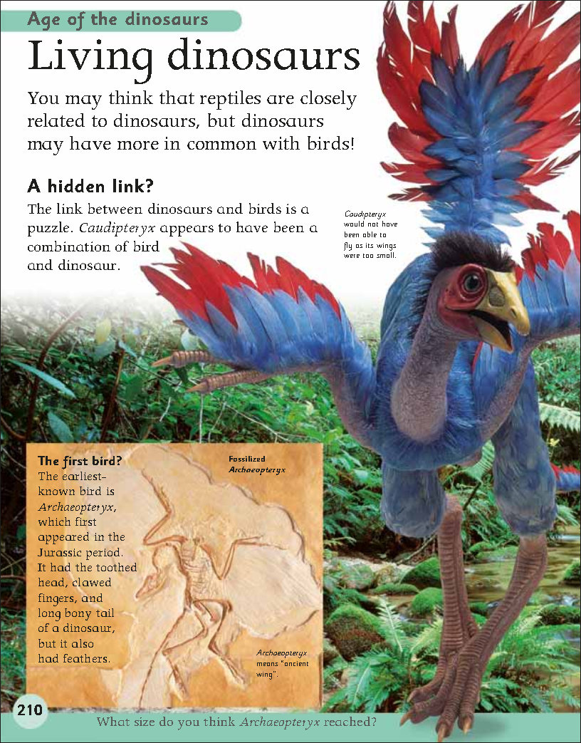 First Childrens Encyclopedia