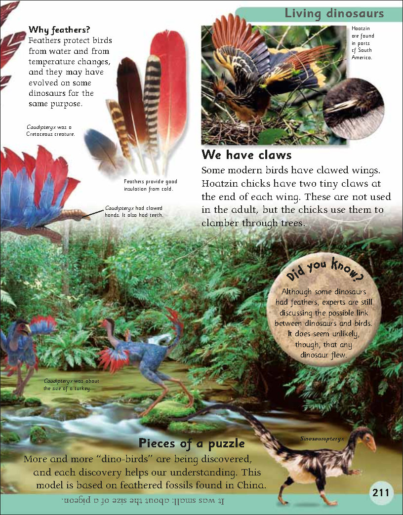 First Childrens Encyclopedia