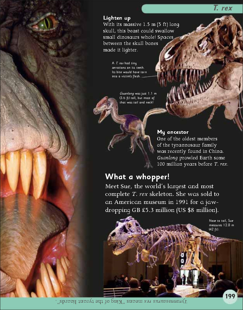 First Childrens Encyclopedia