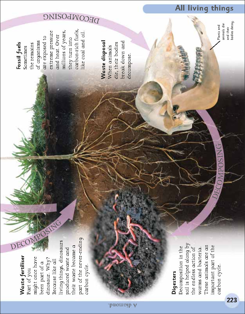 First Childrens Encyclopedia